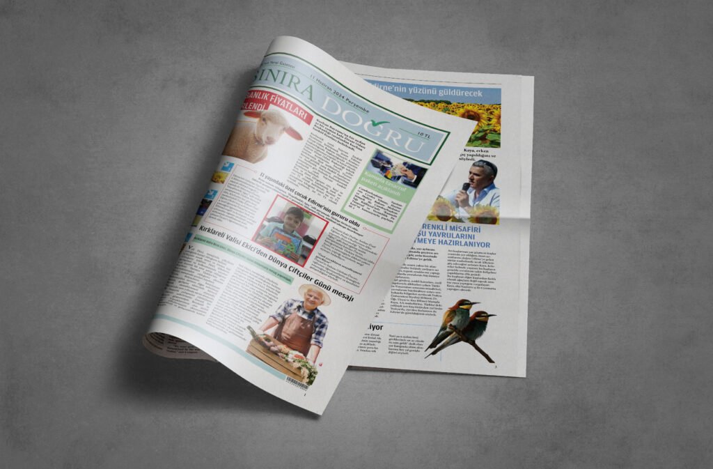 gazete portfolyo2